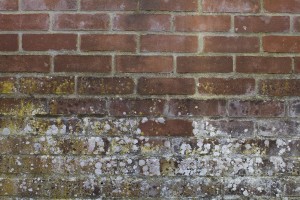 A Closer Look At The Dangers Of A Leaky Basement