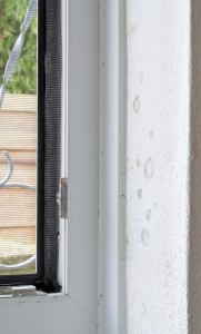 How Can You Know If Your Home Is Suffering From A Mold Problem?