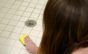 Mold And Your Home – Important Facts To Know