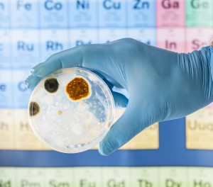 Having Your Mold Tested By The Professionals