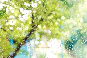 Summer Precipitation And The State Of Your Home