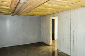 3 Reasons You Should Waterproof Your Basement