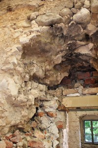 Dry Rot Isn’t Dry