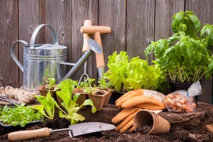 4 Tips For Planning Your Garden