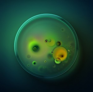 The Benefits Of Mold Testing