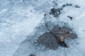 Basement Leaks Don’t Stop When The Ground Freezes