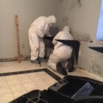 Mold Remediation