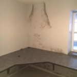 Mold Remediation Services