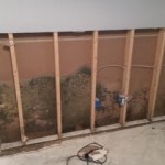 Mold Removal