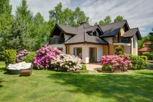 Bad Landscaping Can Cause Problems For Your Home