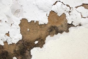 Subtle Signs Of Water Damage