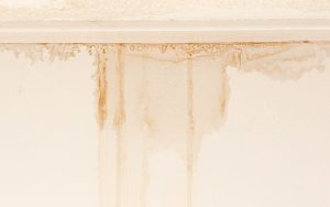 5 Reasons Why Your Basement Might Be Leaking