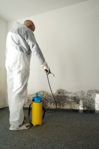 How Long Does Mold Remediation Take?