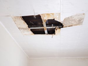 The 5 Warning Signs Of Foundation Damage