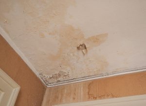 Water Damage Prevention To Do This Summer