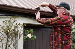 Are Your Clogged Gutters Causing Basement Leakage?