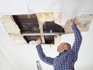 Mold Remediation Montgomery Village