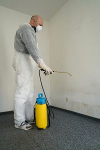 Mold Remediation Belcamp