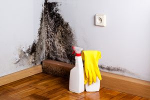 Mold Remediation Garrison