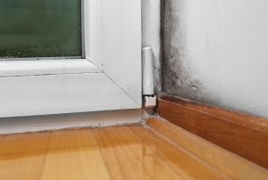 Mold Remediation Poolesville