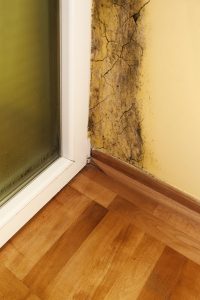 Mold Remediation Churchville