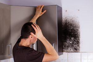 Mold Remediation Phoenix