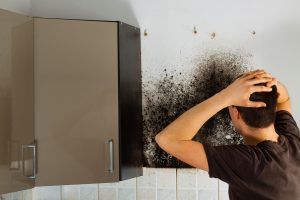 bigstock-Mold-problem-and-the-mycelium-115776887-300x200