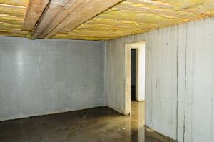 Basement Waterproofing Forest Hills