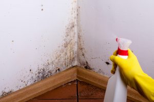3 Signs It’s Time For Mold Remediation