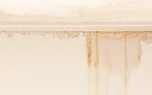 What To Do When A Basement Wall Is Leaking From The Rain