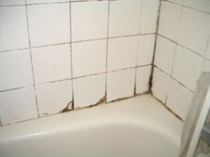 mold removal tips for bathroom
